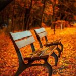 resized_31_fallback
