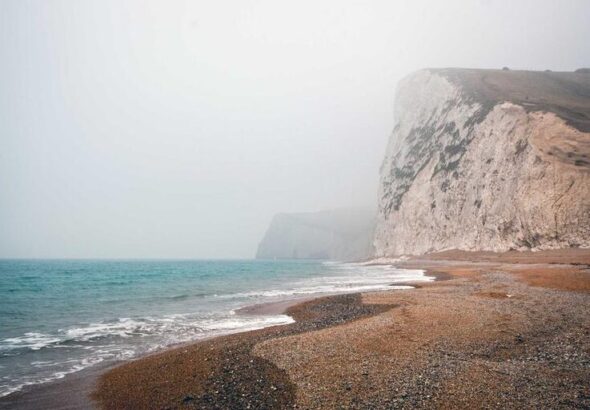 resized_39_fallback