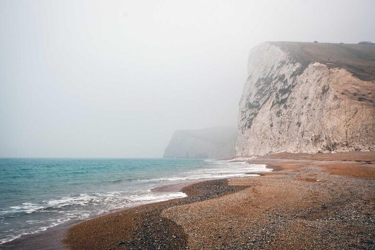 resized_39_fallback